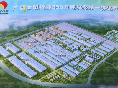 廣西太陽紙業消聲器項目